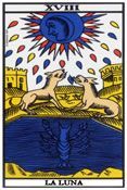 tarot videncia